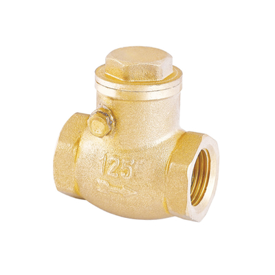 Une valve non de retour antirouille du clapet anti-retour 32mm 22mm de l'eau de manière